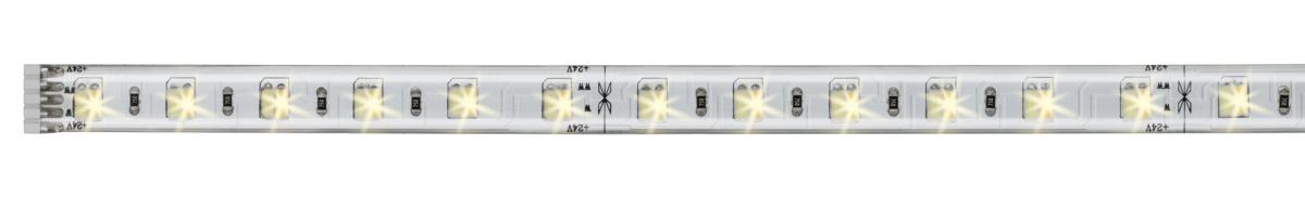 BANDEAU MAXLED500 VARIABLE BLAND CHAUD/ BLANC FROID - 1M