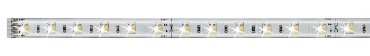 BANDEAU MAXLED500 VARIABLE BLAND CHAUD/ BLANC FROID - 1M