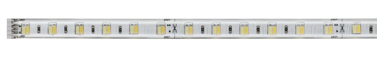 BANDEAU MAXLED500 VARIABLE BLAND CHAUD/ BLANC FROID - 1M