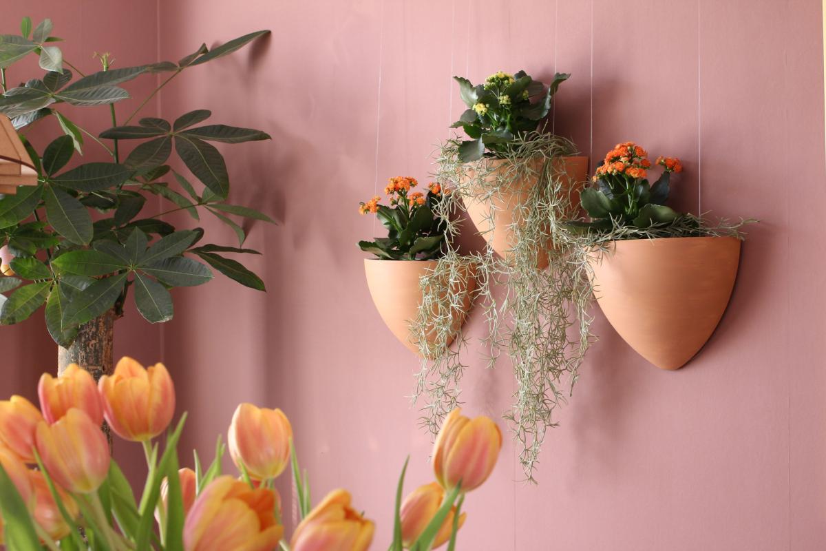 Kit Cache-pot de fleurs suspendu Blanc - suspension de Jardinière Botaniq Artiteq