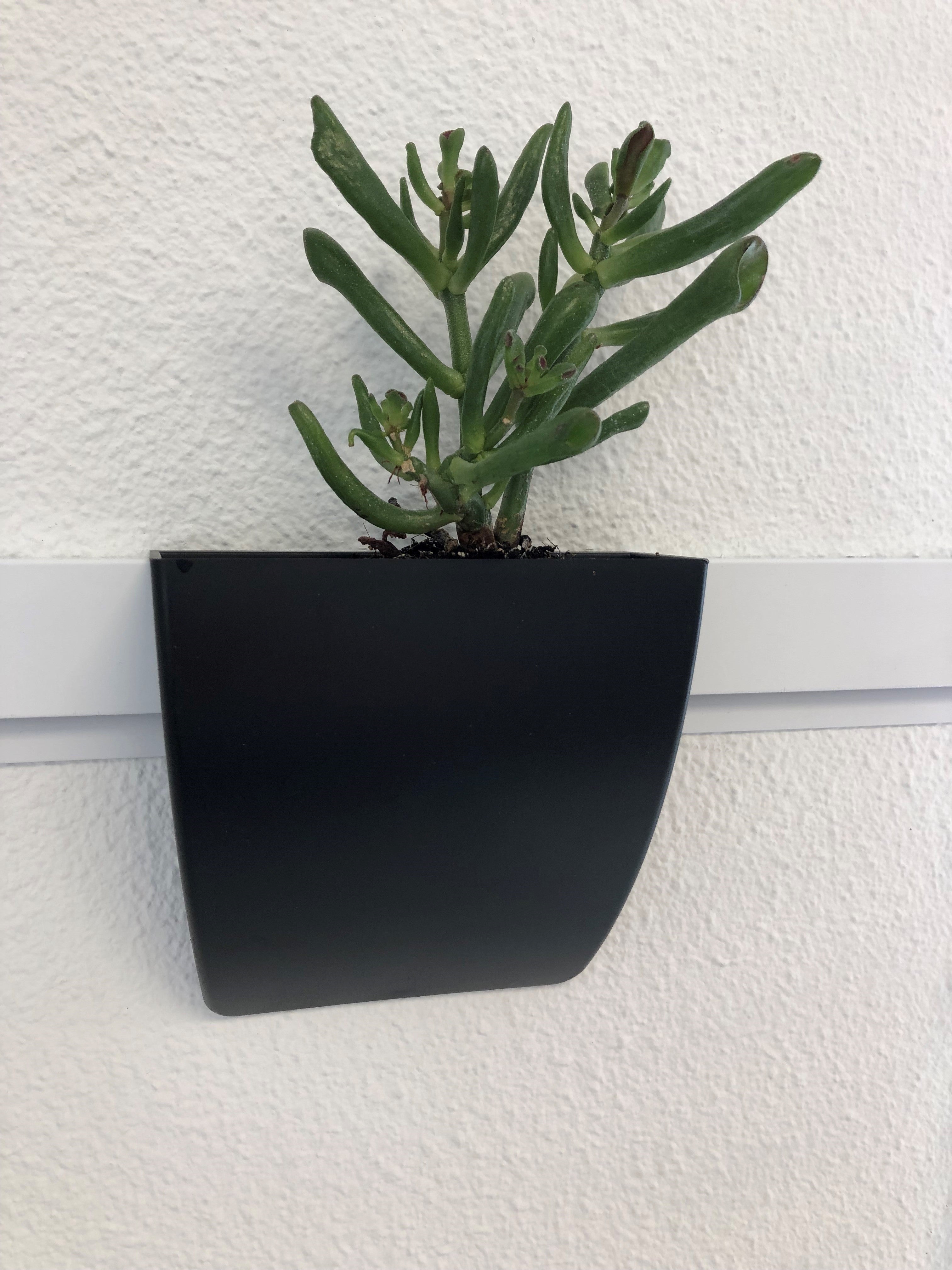 Pôt à crayon clipsable pour Info Rail noir - Storage clip - Artiteq