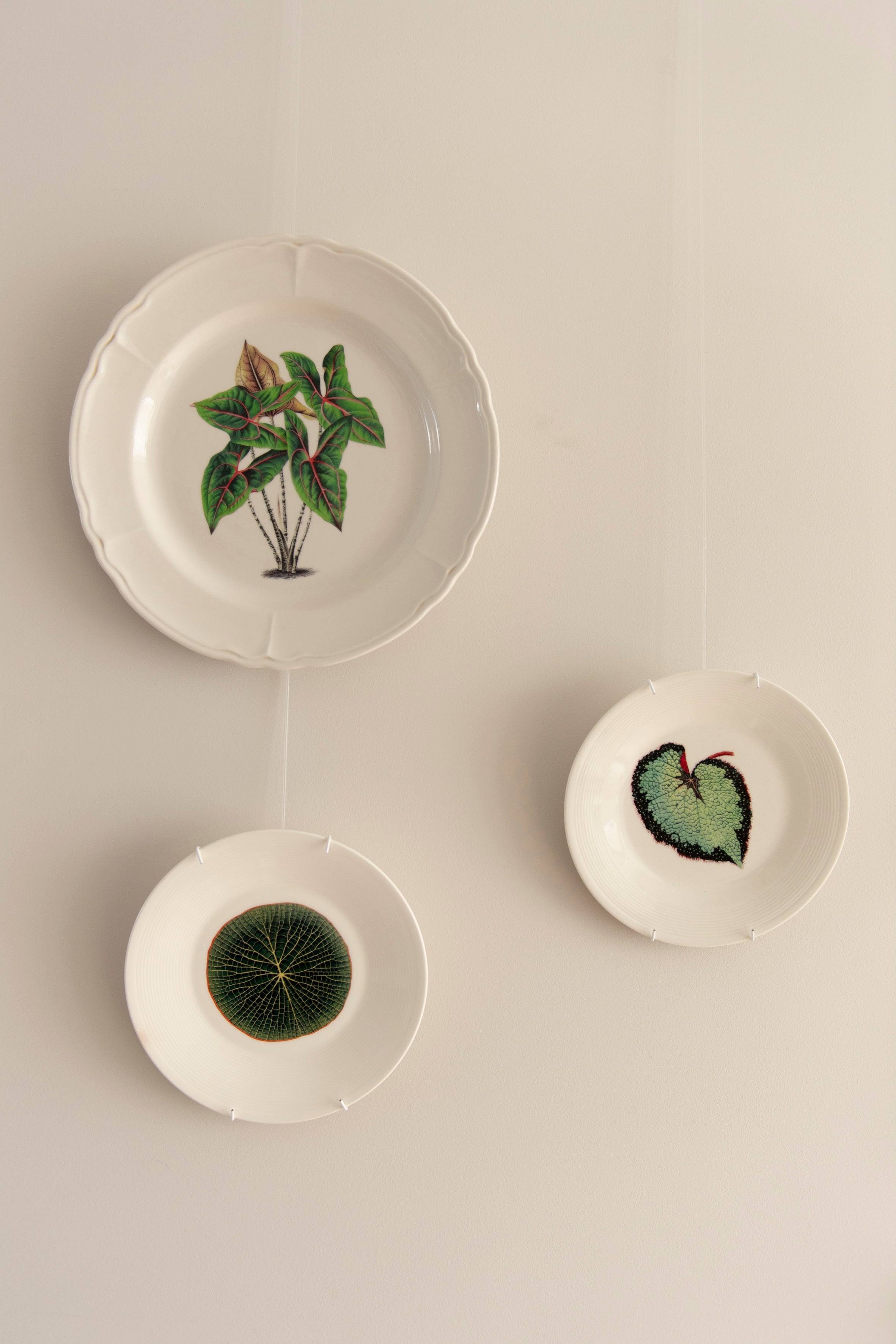 Gancho para colgar platos de 18-25 cm - para colgar platos en la pared.