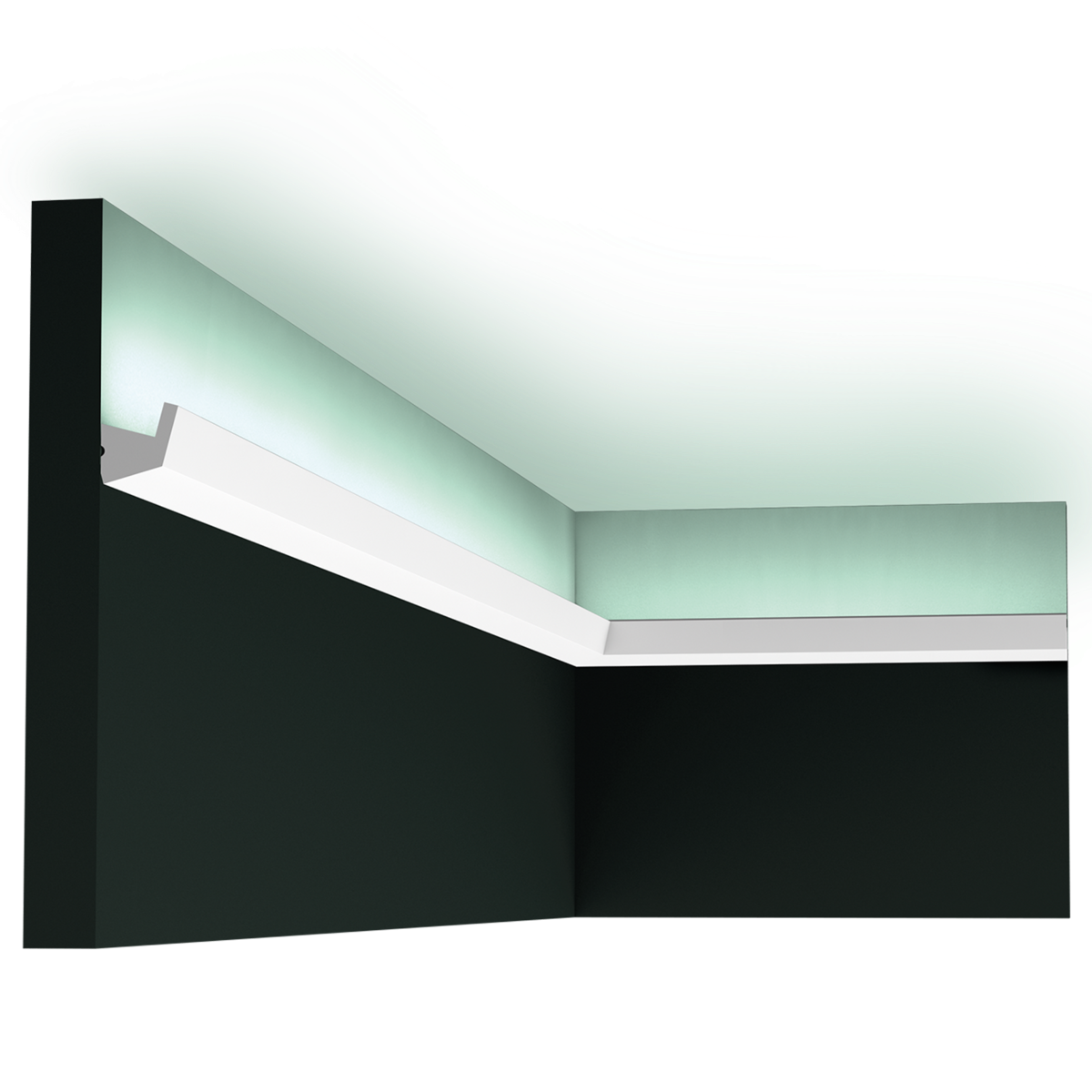 Sample CX189 - 10 cm