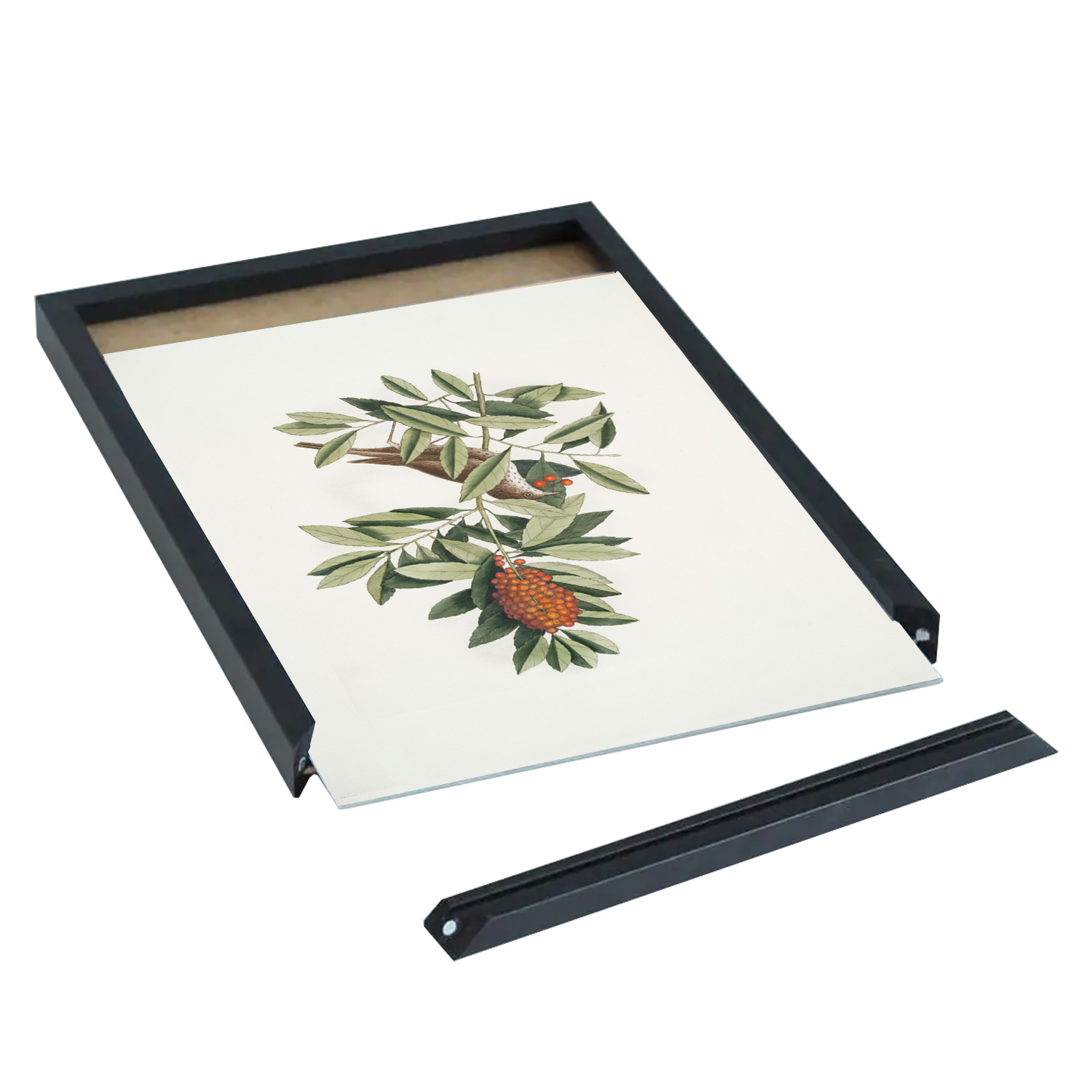 Cadre Astor bois noir - ouverture baguette magnétique - Cimaises et plus