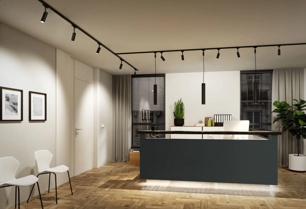 Suspension Catalejo 10W Paulmann - Eclairage Tableau sur Rail Plafond