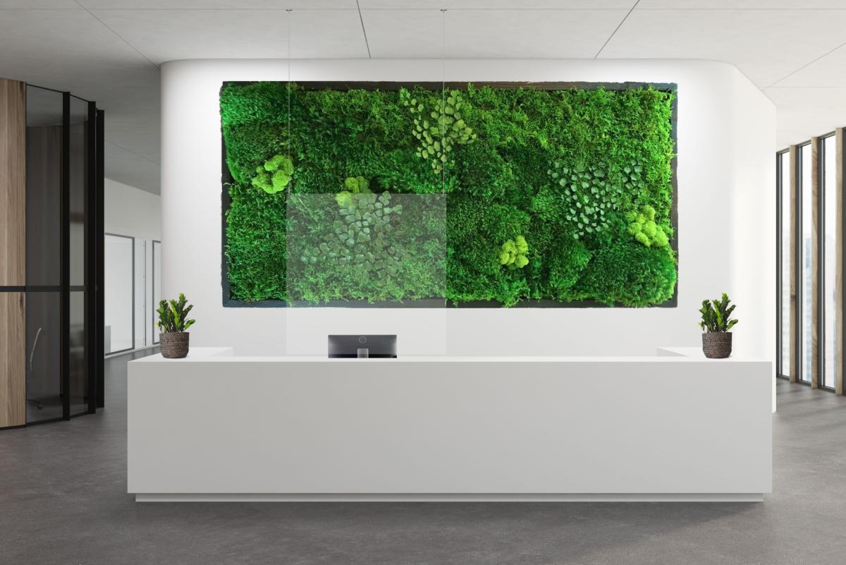 Set de suspension faux plafond pour plexi PLV