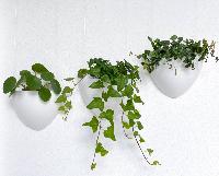 Kit Cache-pot de fleurs suspendu Blanc - suspension de Jardinière Botaniq Artiteq