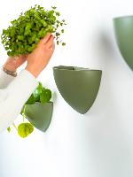 Kit Cache-pot de fleurs suspendu vert - suspension de Jardinière Botaniq Artiteq
