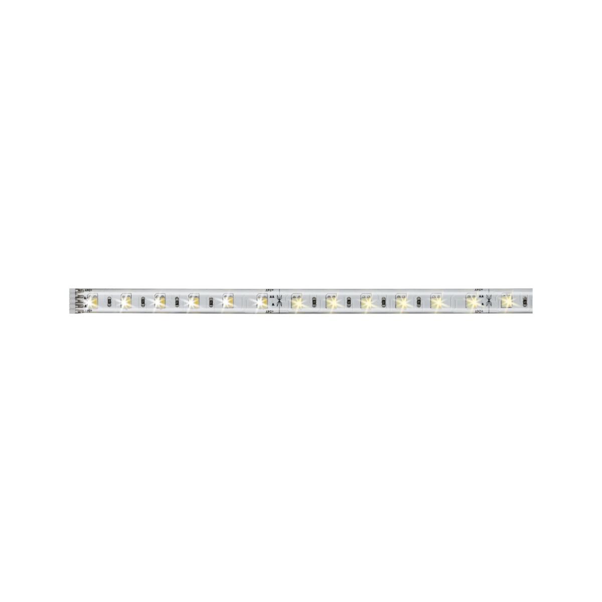 BANDEAU MAXLED500 VARIABLE BLAND CHAUD/ BLANC FROID - 1M