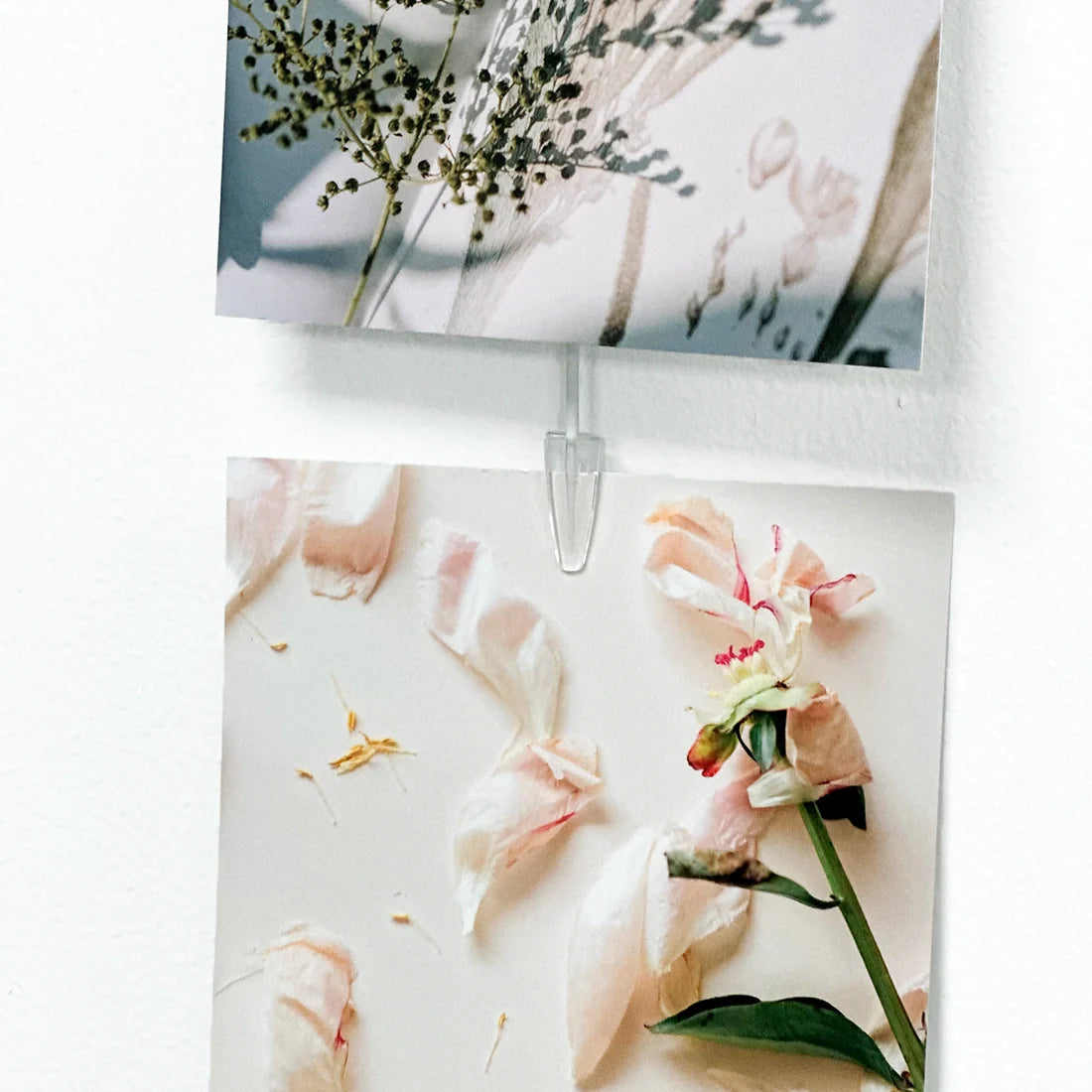 Pack 10 clips pour Picture Mouse Solo