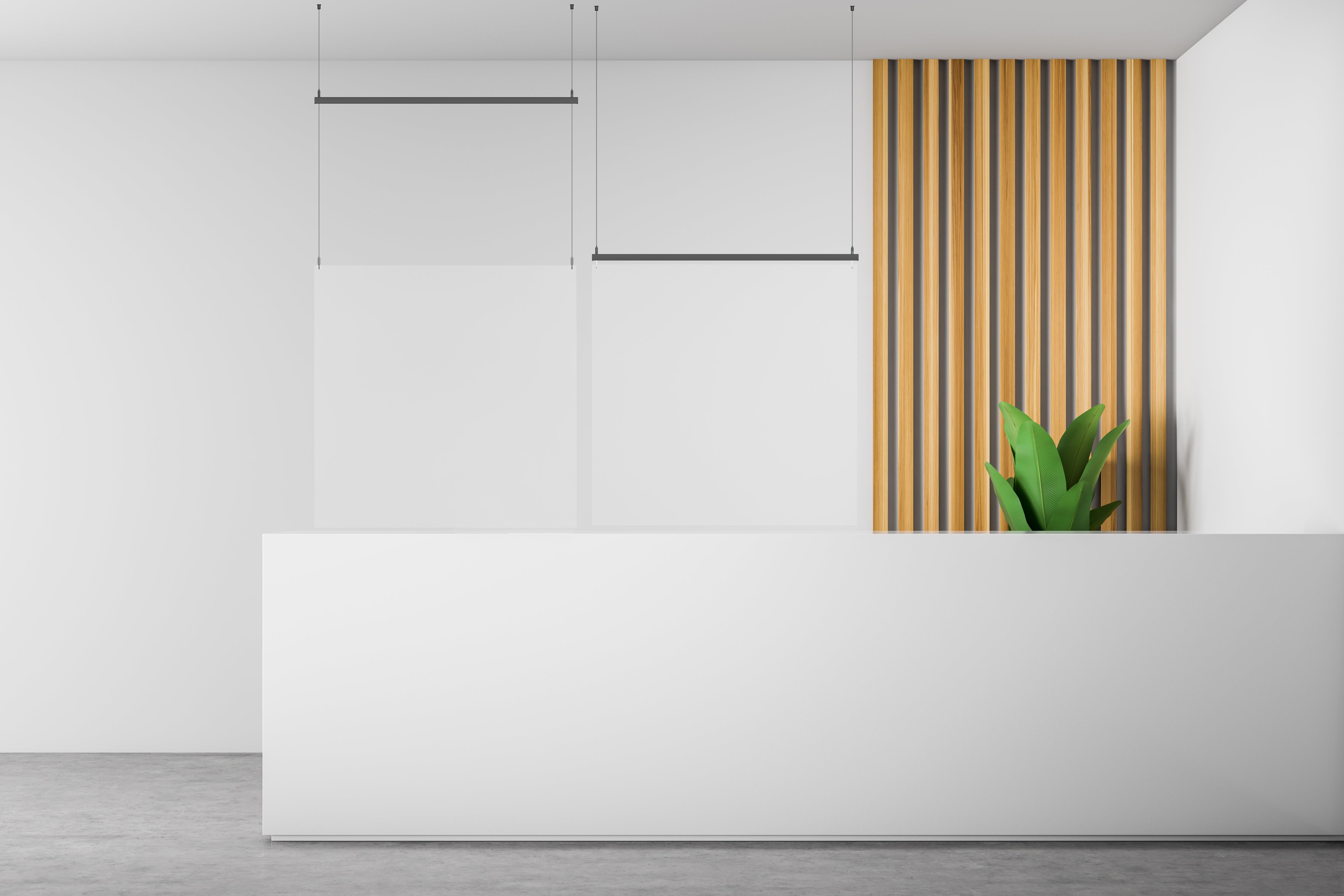 XPO Rail 200cm picture rails + clips + screws and multi-material dowels - Artiteq Picture Rail