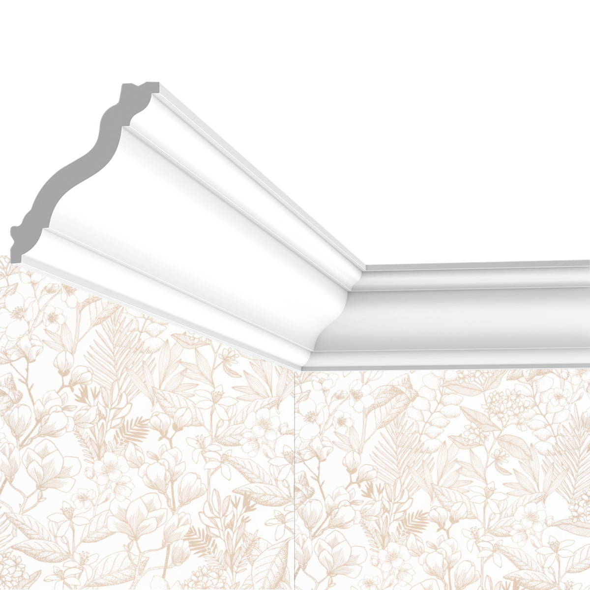 Cornisa de techo, rieles para cuadros y más C19 - 7x6x200cm (alto x ancho) - moldura