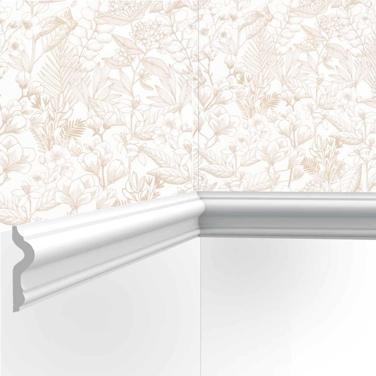 Picture rail / wall molding M07 Picture rails and more -7.5x2.0x200cm (hxpx L)