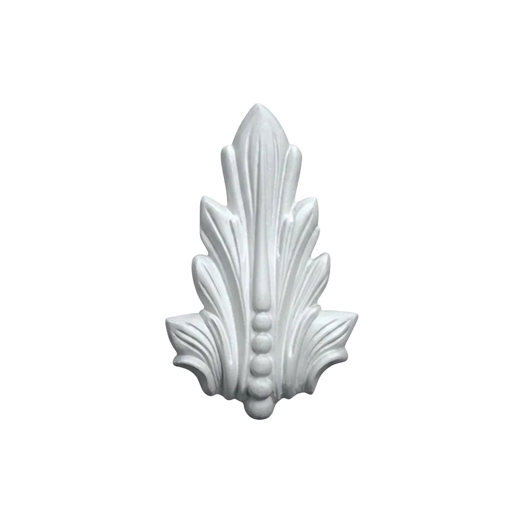 ornement végétal décoratif sur fond blanc