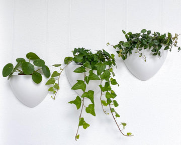 flat back hanging planter White hanging planter Botaniq Artiteq 🪴