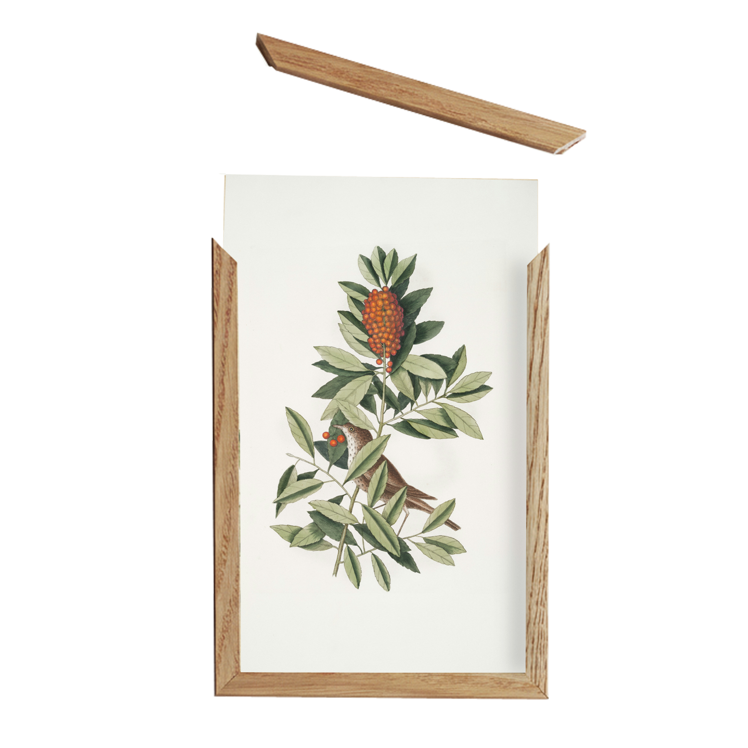 Cadre Astor chêne brut - ouverture baguette magnétique - Cimaises et plus