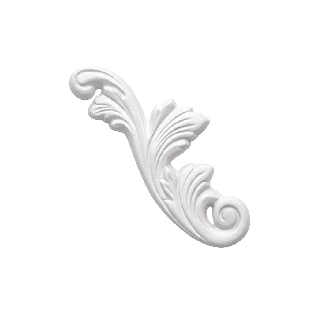 Ornement décoratif à volutes et feuillage sur fond blanc