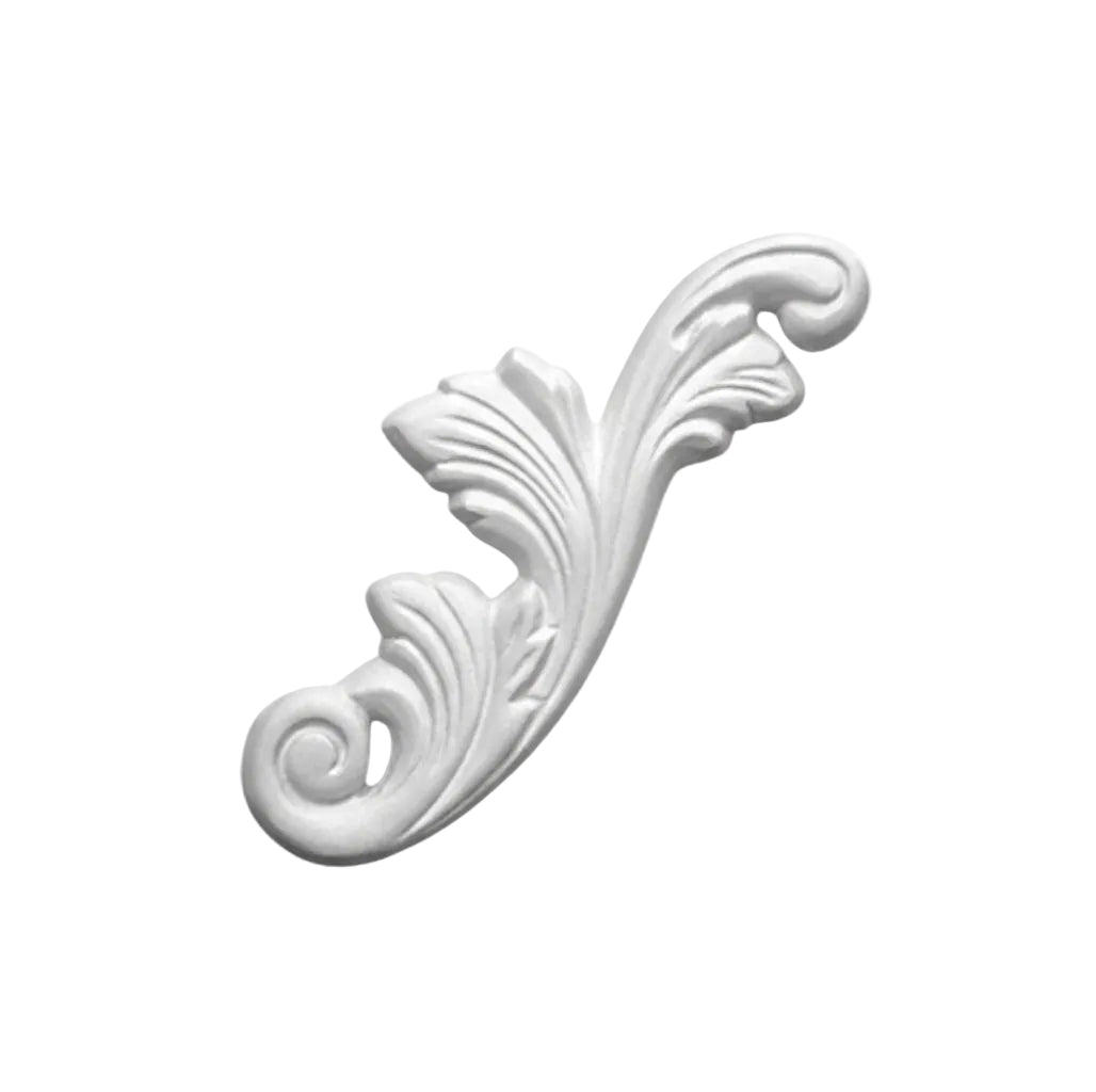 Ornement végétal en volute sur fond blanc